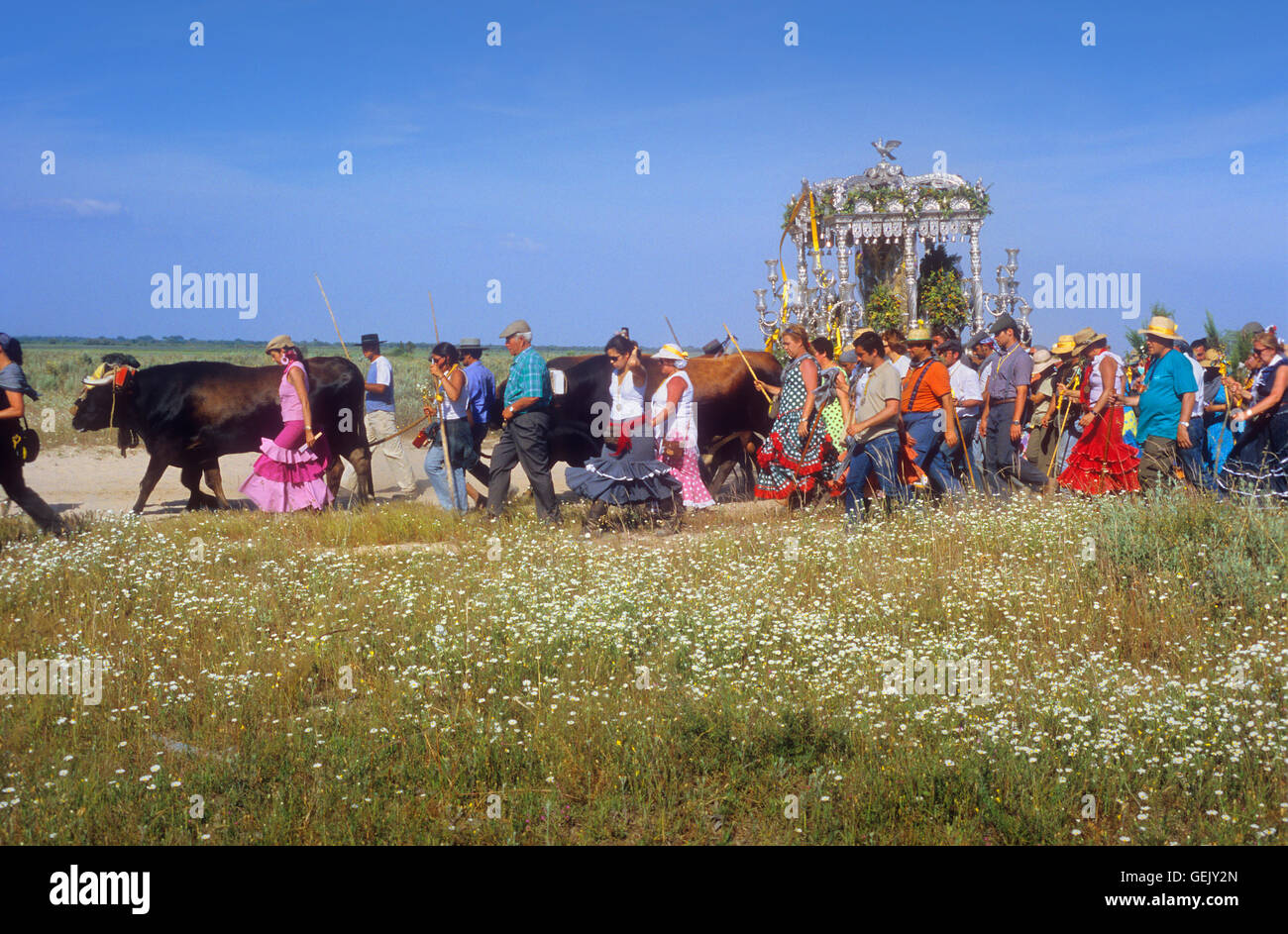 Pilgern in der Nähe von Rocio Dorf, Romeria del Rocio, Pilger auf ihrem Weg durch den Nationalpark Doñana Wallfahrt von Sanlúcar d Stockfoto