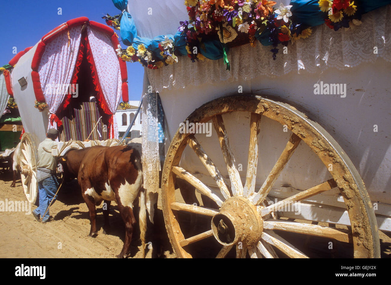 Pilgern in der Nähe von Rocio Dorf, Romeria del Rocio, Pilger auf ihrem Weg durch den Nationalpark Doñana Wallfahrt von Triana bro Stockfoto