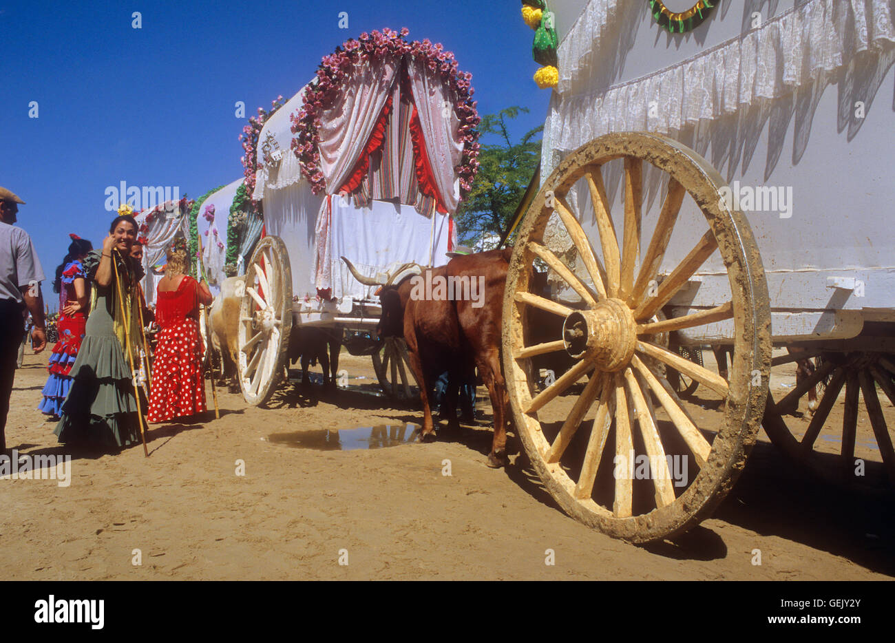 Pilgern in der Nähe von Rocio Dorf, Romeria del Rocio, Pilger auf ihrem Weg durch den Nationalpark Doñana Wallfahrt von Triana bro Stockfoto