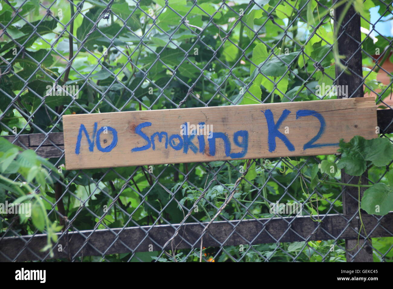 New York, USA. 18. Juli 2016. Ein Zeichen geschrieben mit '' No Smoking K2 "hängt an einem Zaun in der"Bushwick Stadtbauernhof"Gemeinschaft gardenin Stadtteil Brooklyn in New York, USA, 18. Juli 2016. Zeugen sagen, dass "K2", ein synthetisches Marihuana macht die Menschen verhalten sich wie Zombies. Aber es führt zu Halluzinationen, Schwindel und Übelkeit, und Freizeitdroge in New York geworden zu sein scheint. Beamte wollen härtere Maßnahmen dagegen zu ergreifen. Foto: CHRISTINA HORSTEN/Dpa/Alamy Live News Stockfoto