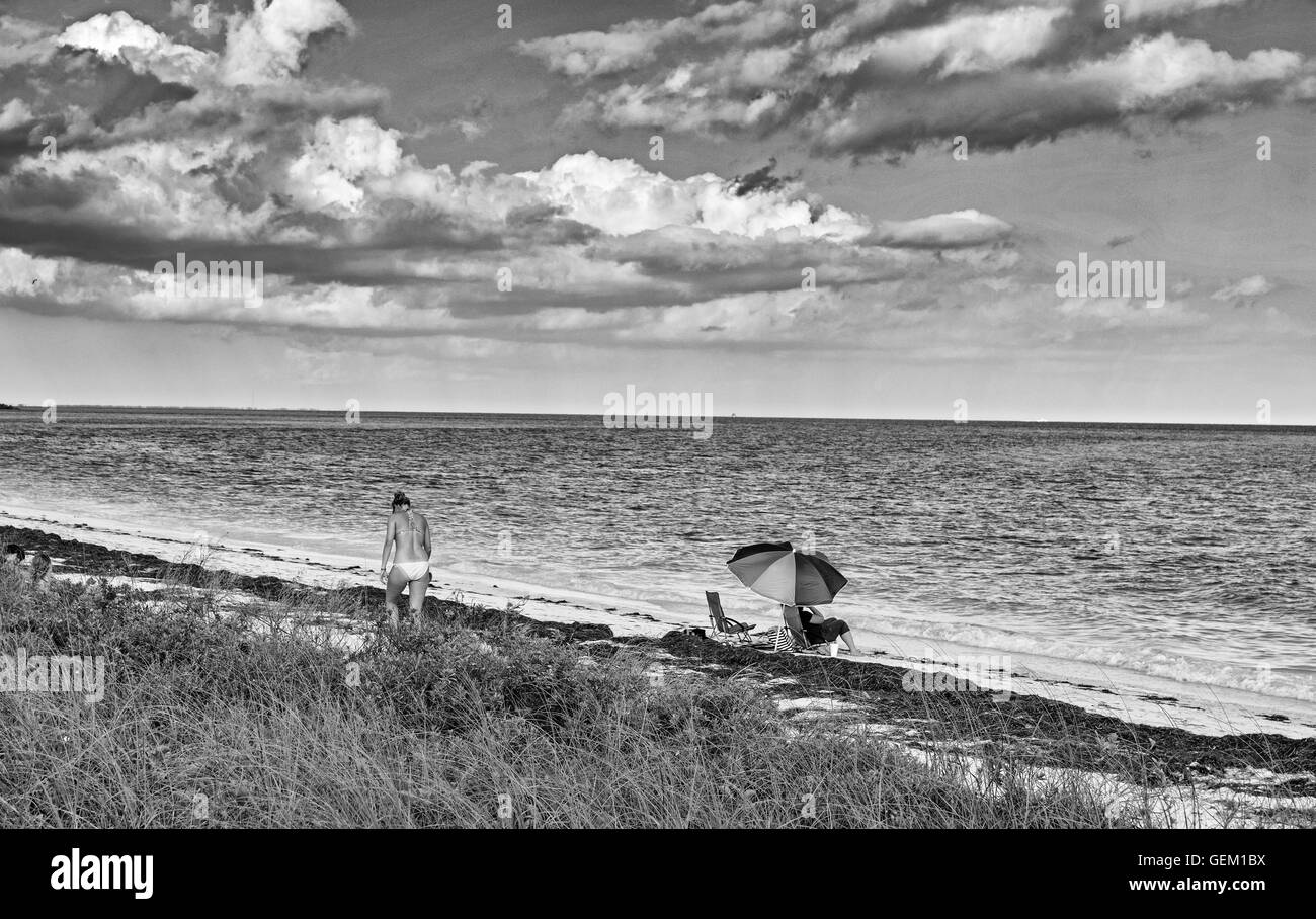 Bahia Honda State Park, Florida, Seegras am Strand, Sonnenschirm, Frau, Bikini, Monochrom Stockfoto