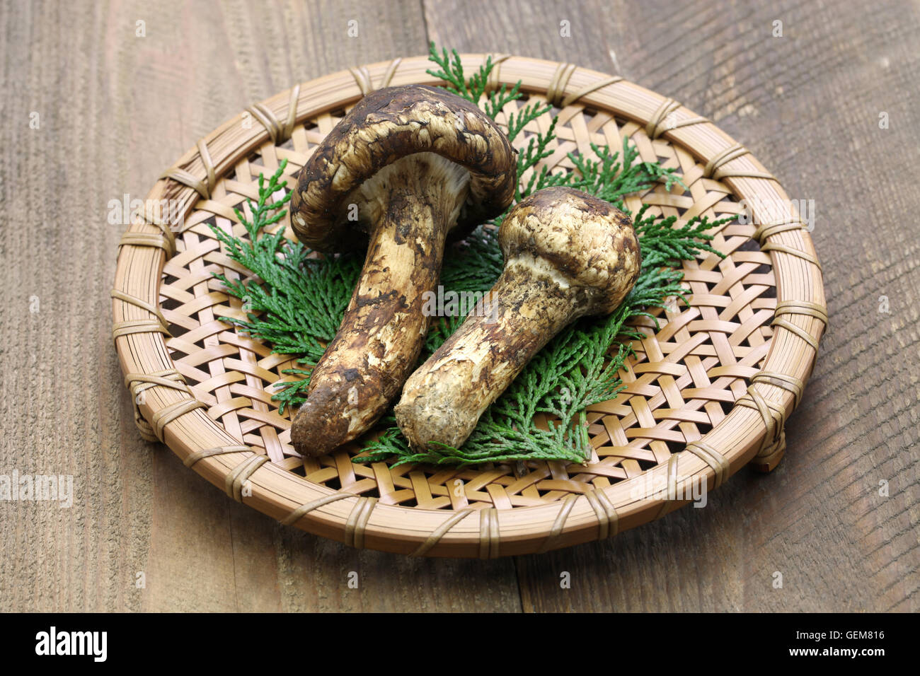 Matsutake japan Fotos und Bildmaterial in hoher Auflösung Alamy