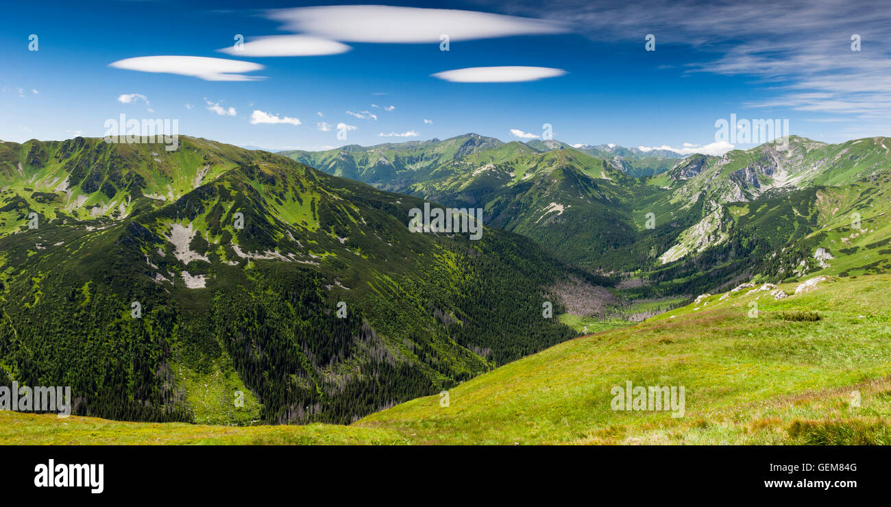 Sonnige Landschaft auf Cicha Dolina in der westlichen Tatra Stockfoto