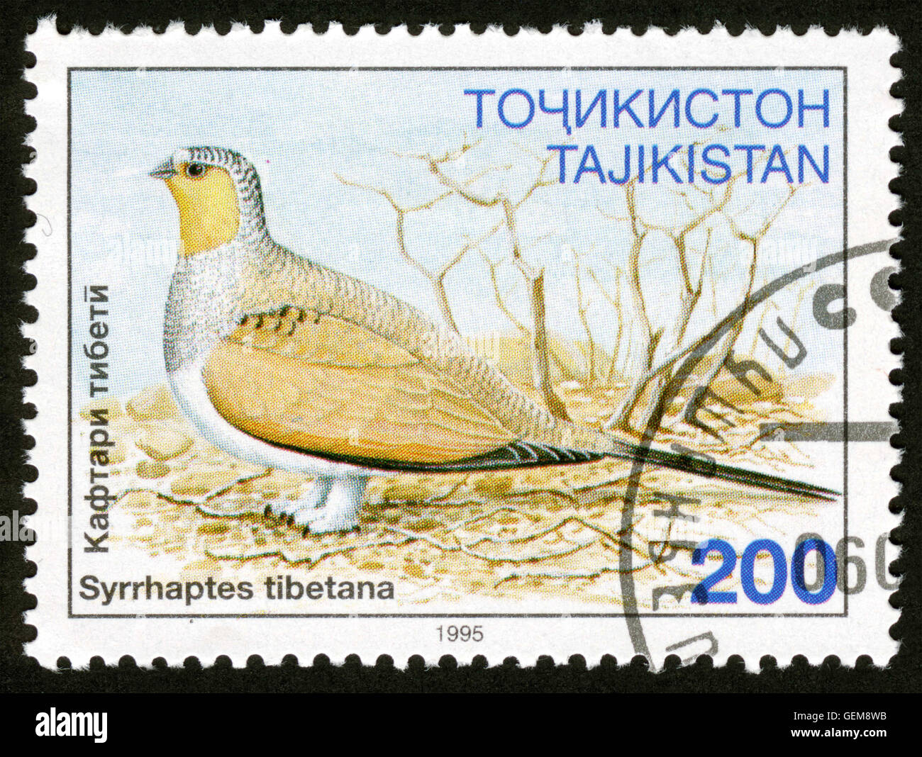 Tadschikistan - ca. 1995: post, Mark, Stempel, Vogel, Tier, Syrrhaptes Tibetana Stockfoto