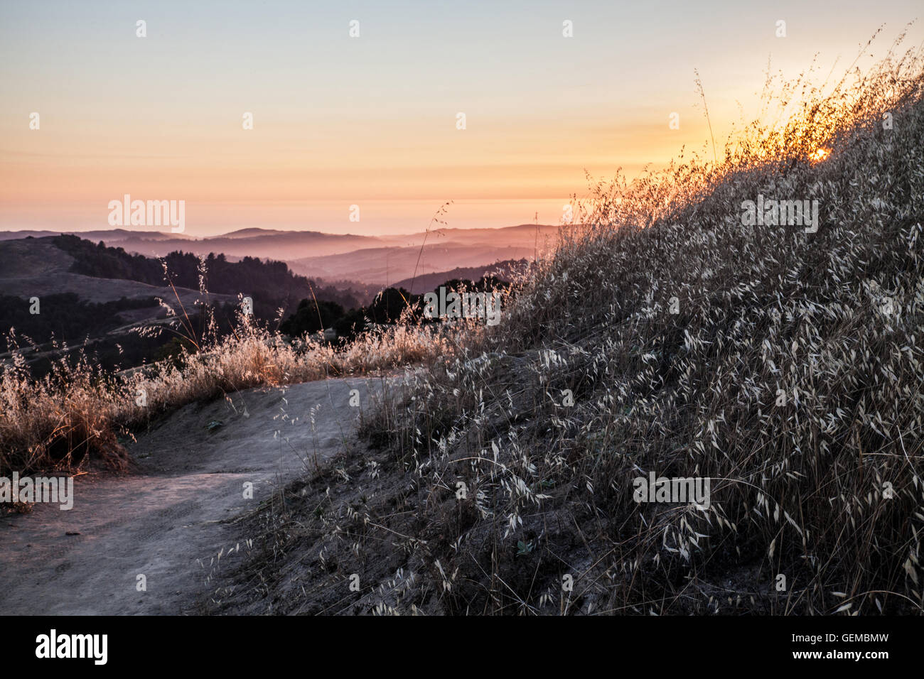 Sonnenuntergang in den Bergen, Russisch Ridge, San Francisco Bay Area, USA Stockfoto