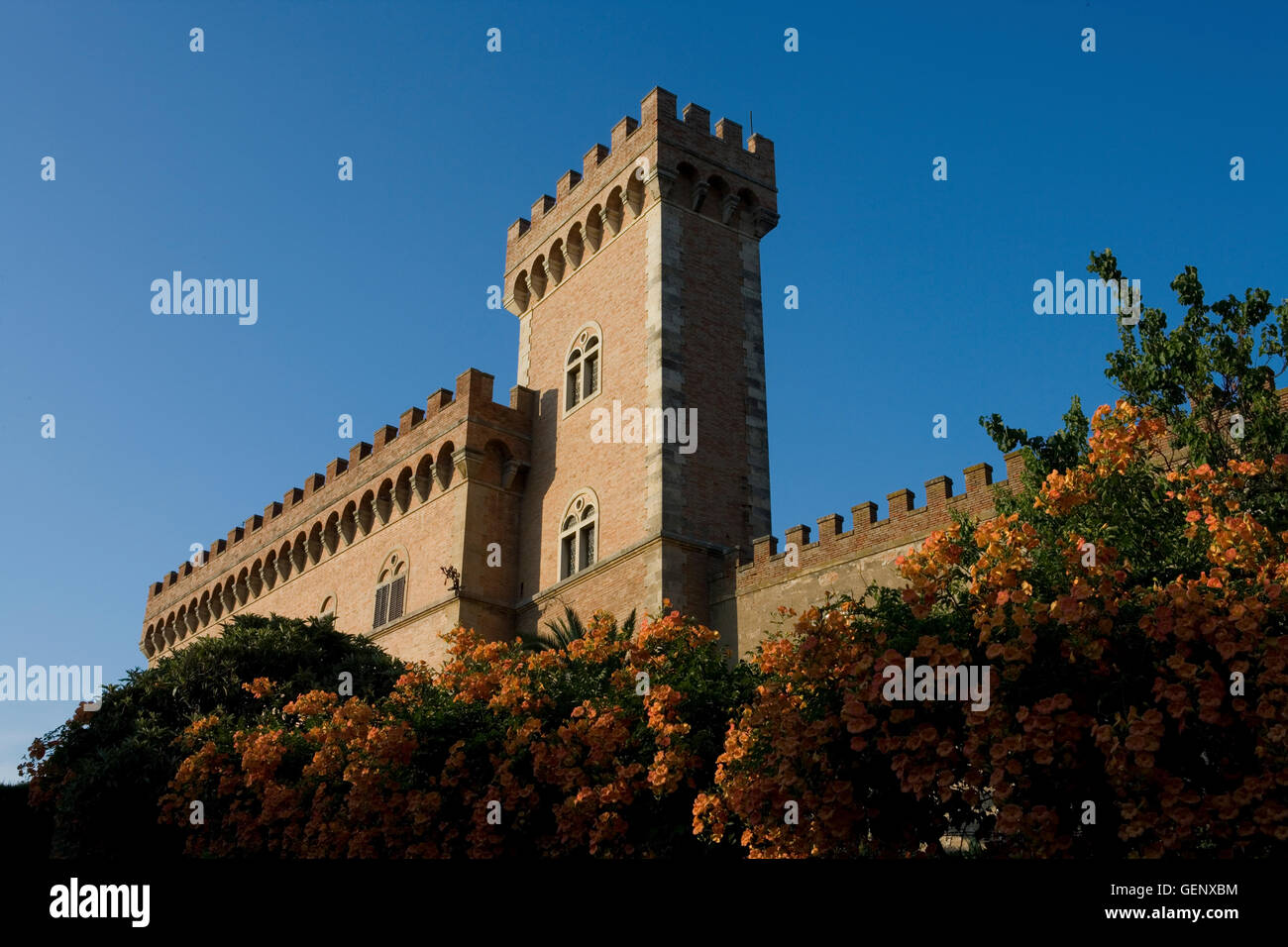 Bolgheri-Burg, Toskana Stockfoto