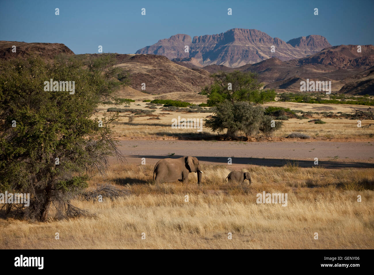 Huab, Erongo, Damaraland, Namibia Stockfoto