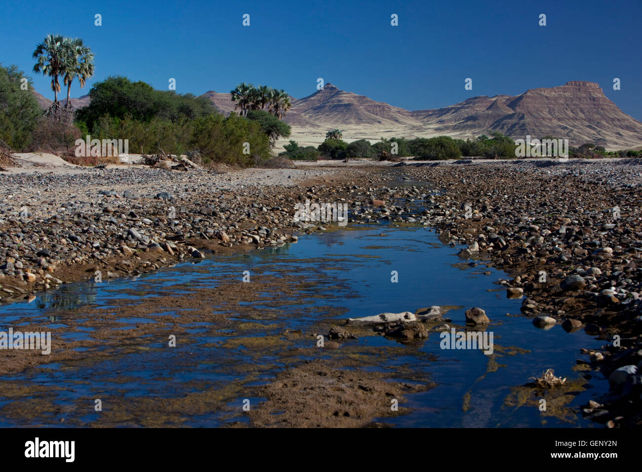 Hoarusib, Kaokoveld, Namibia Stockfoto