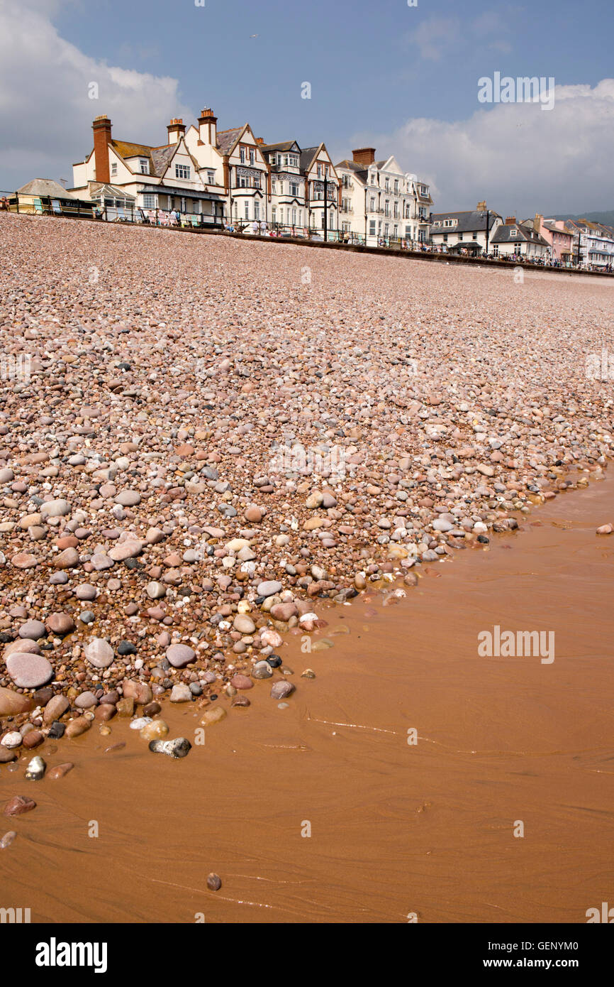 Großbritannien, England, Devon, Sidmouth, Strand, Rand der Schindel bei Ebbe Stockfoto