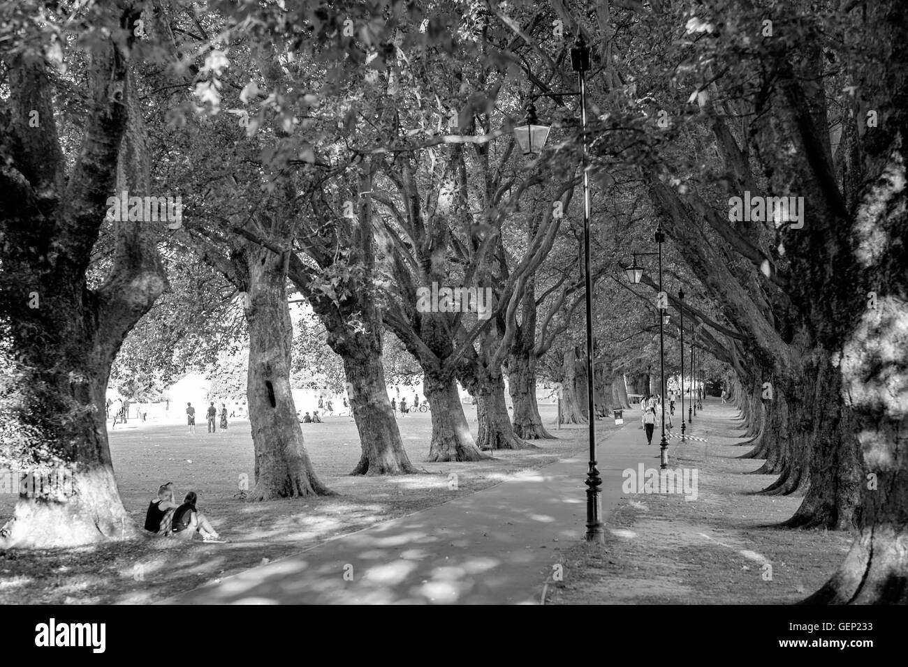 Jesus Green Park in Cambridge, Vereinigtes Königreich Stockfoto