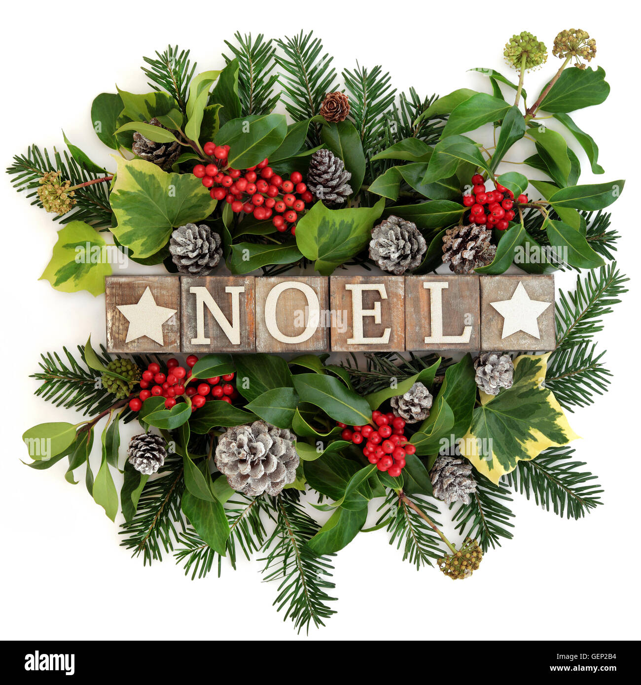 Winter Pflanzen und alten hölzernen Noel Holzblock Schild mit Holly und roten Beeren, Efeu, Schnee überdachte Tannenzapfen und Tanne über weißen. Stockfoto