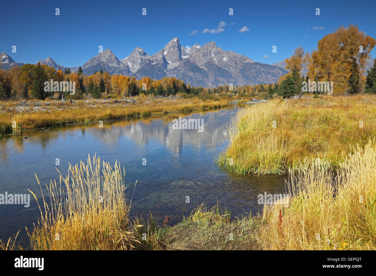 Geographie / Reisen, USA, Wyoming, Schwabacher Landung, Snake River, Grand Teton Nationalpark Stockfoto