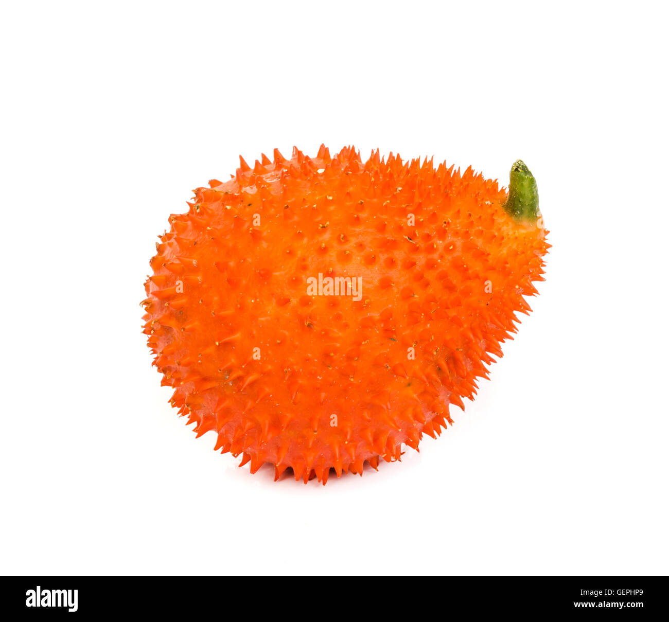 GAC Frucht, typisch für Orange gefärbte pflanzliche Nahrungsmittel in Asien, Gac Frucht enthält Carotinoide wie Beta-Carotin. Stockfoto