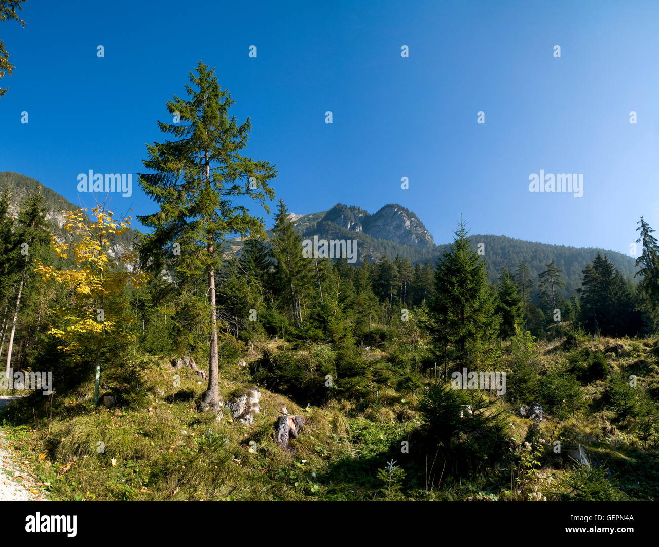 Geographie / Reisen, Österreich, Tirol, Ebner Joch, Kirchenspitz, Rofan Berge, Brandenberg Alpen Stockfoto