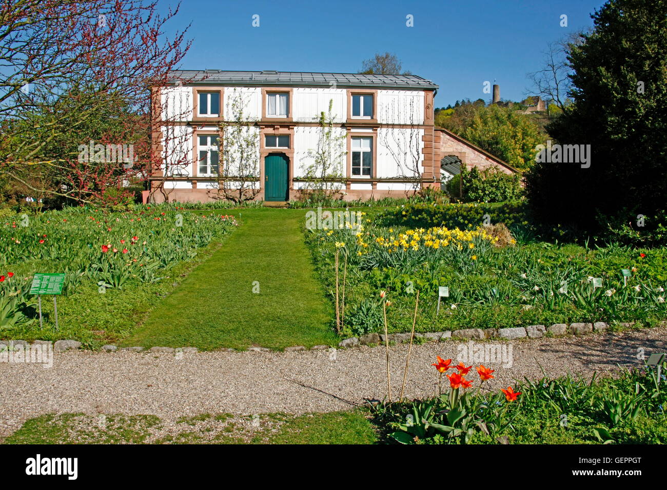 Weinheim (bergstrasse) Stockfotos und bilder Kaufen Alamy
