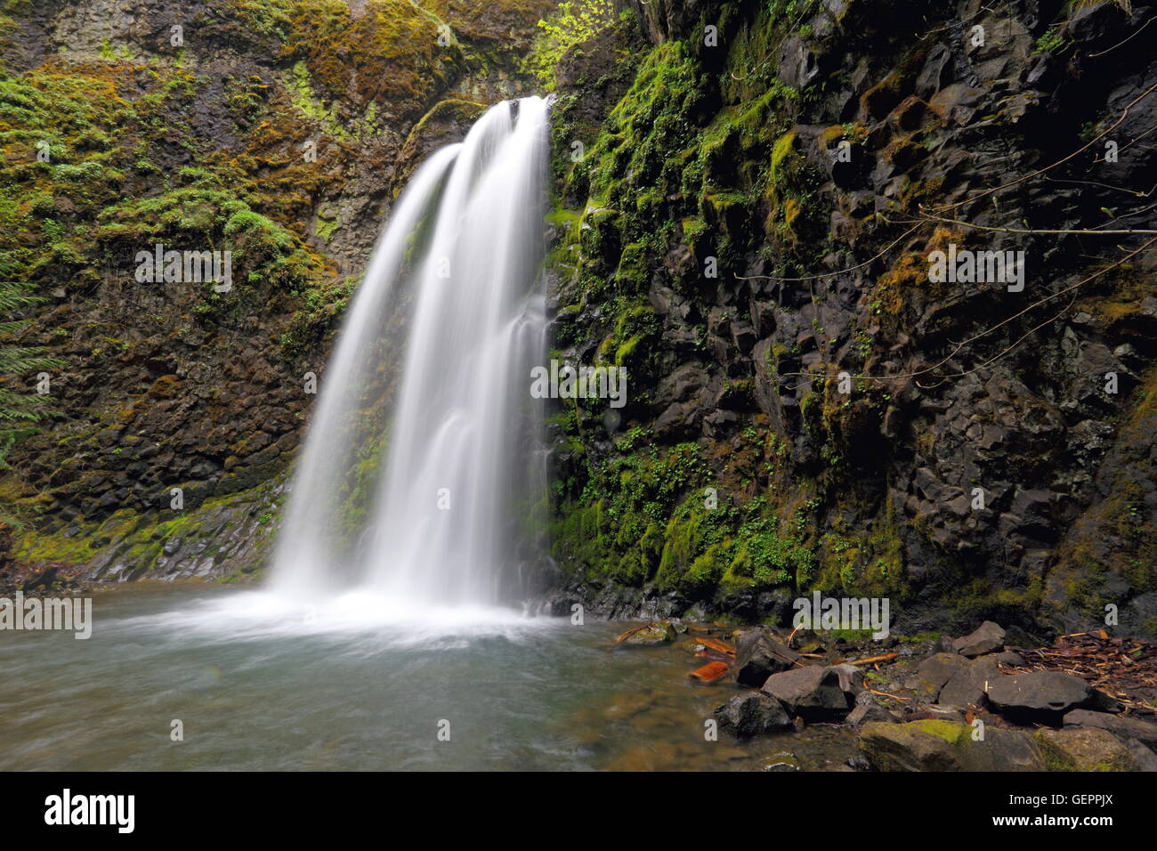 Geographie / Reisen, Umpqua Valley, Fall Creek Falls, Oregon, USA Stockfoto