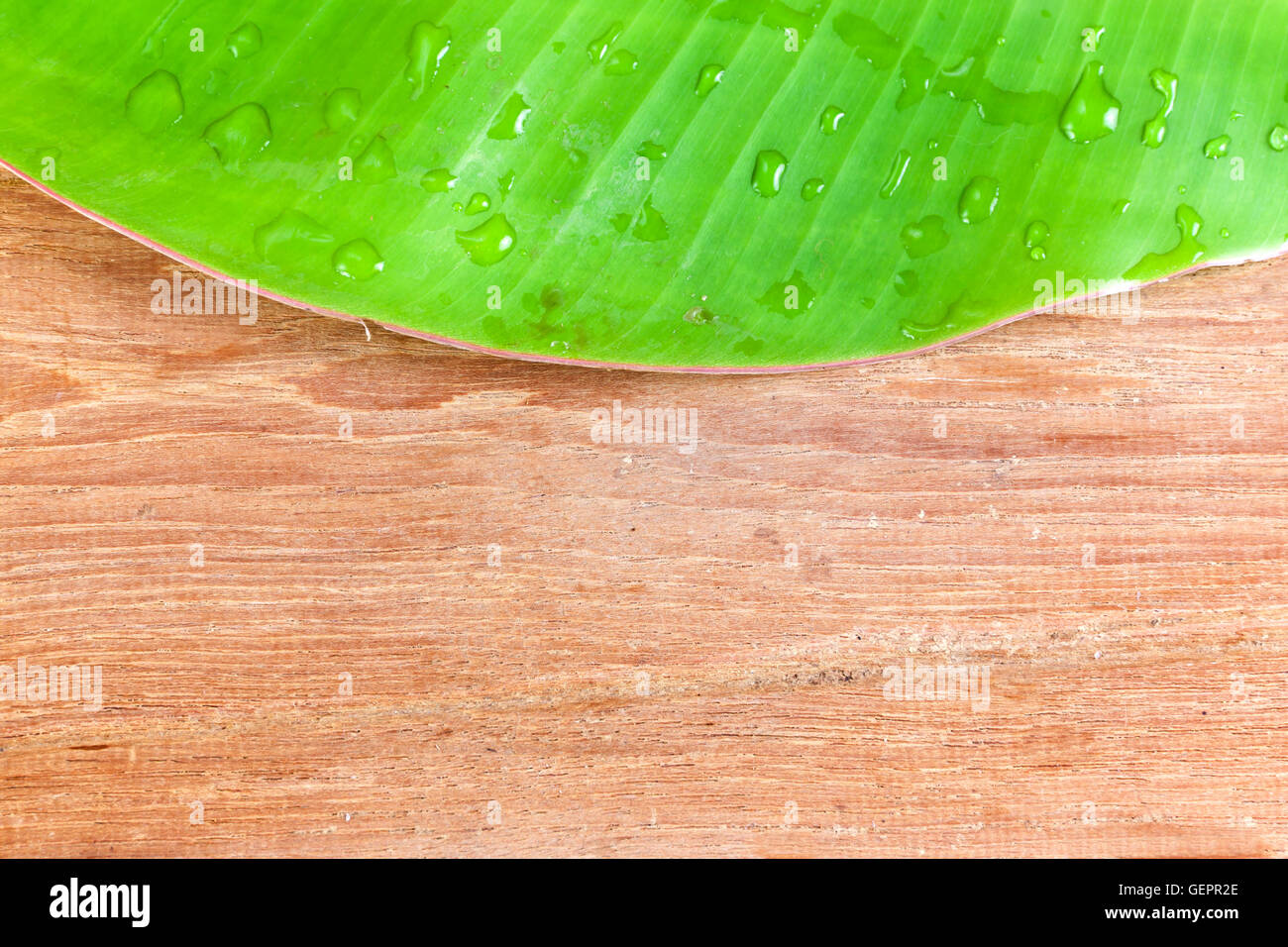 Banane Blatt grün Farbe frisch auf hölzernen Hintergrund Stockfoto