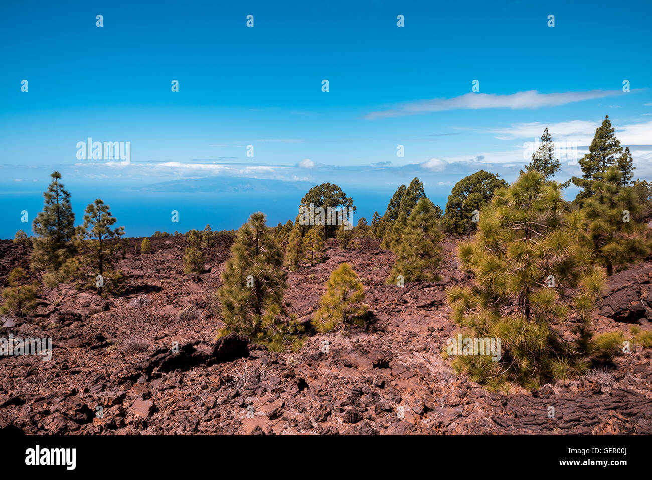 Lavalandschaft Vulkan Teide Teneriffa Kanarische Stockfoto