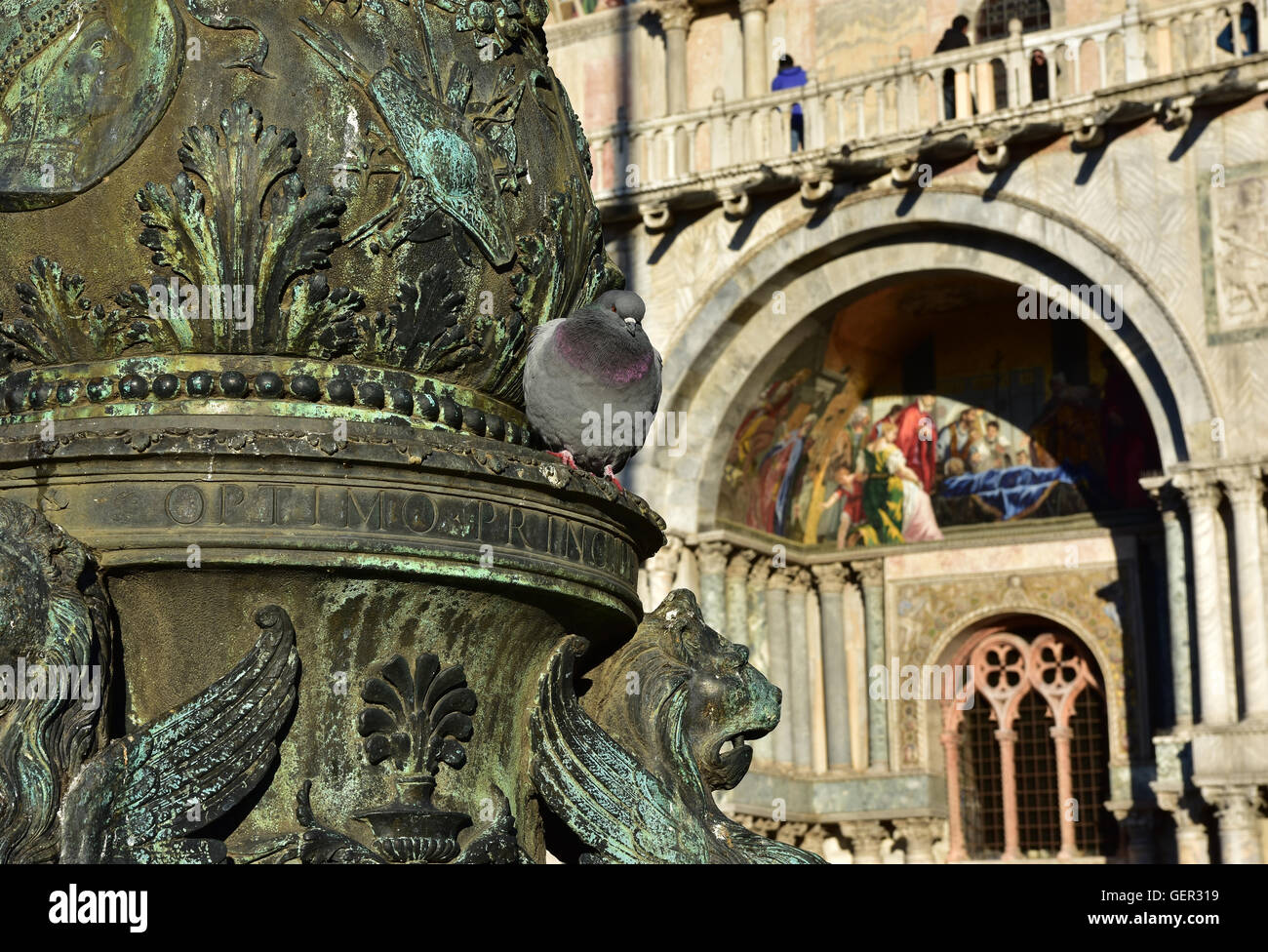 Venezianische Taube vor Basilika Saint Mark Stockfoto