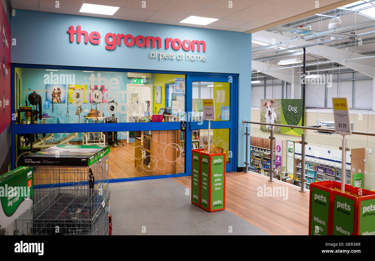 der Bräutigam Zimmer an Haustiere zu Hause Stockfoto