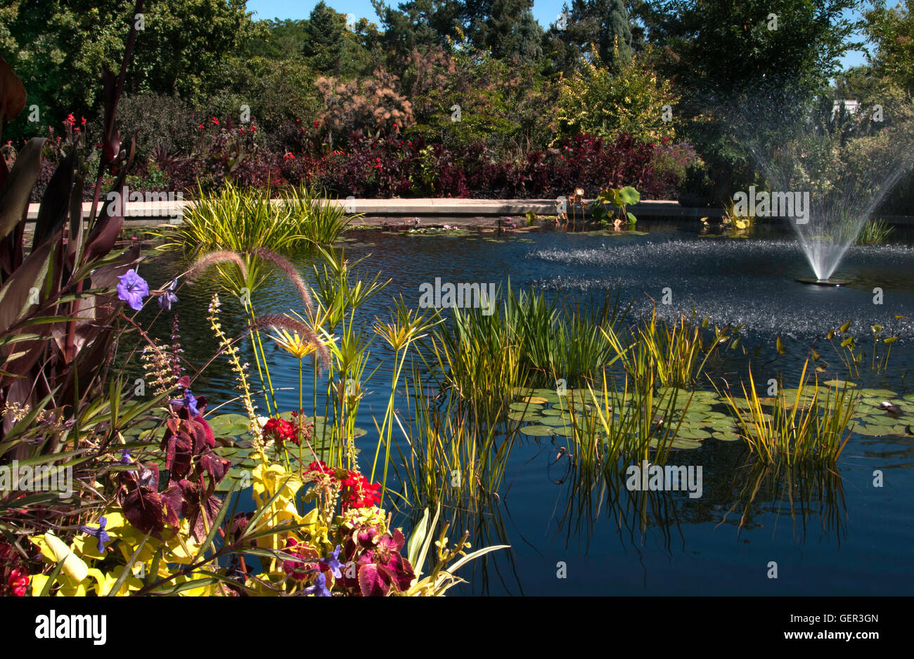 See und Brunnen im Denver Botanic Garden Stockfoto