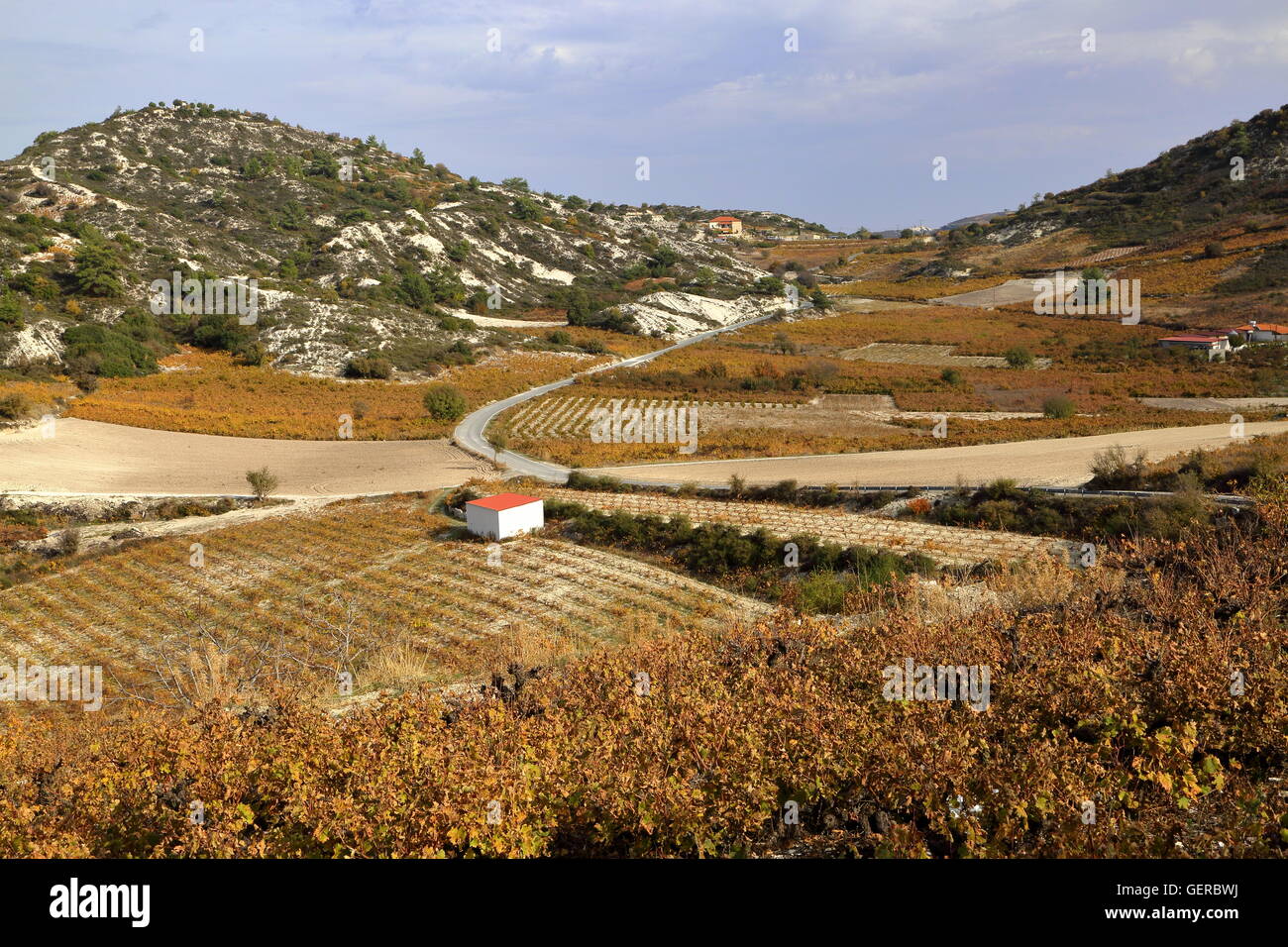 Landschaft der Weinberge in der Nähe von Dorf Omodos, Zypern Stockfoto