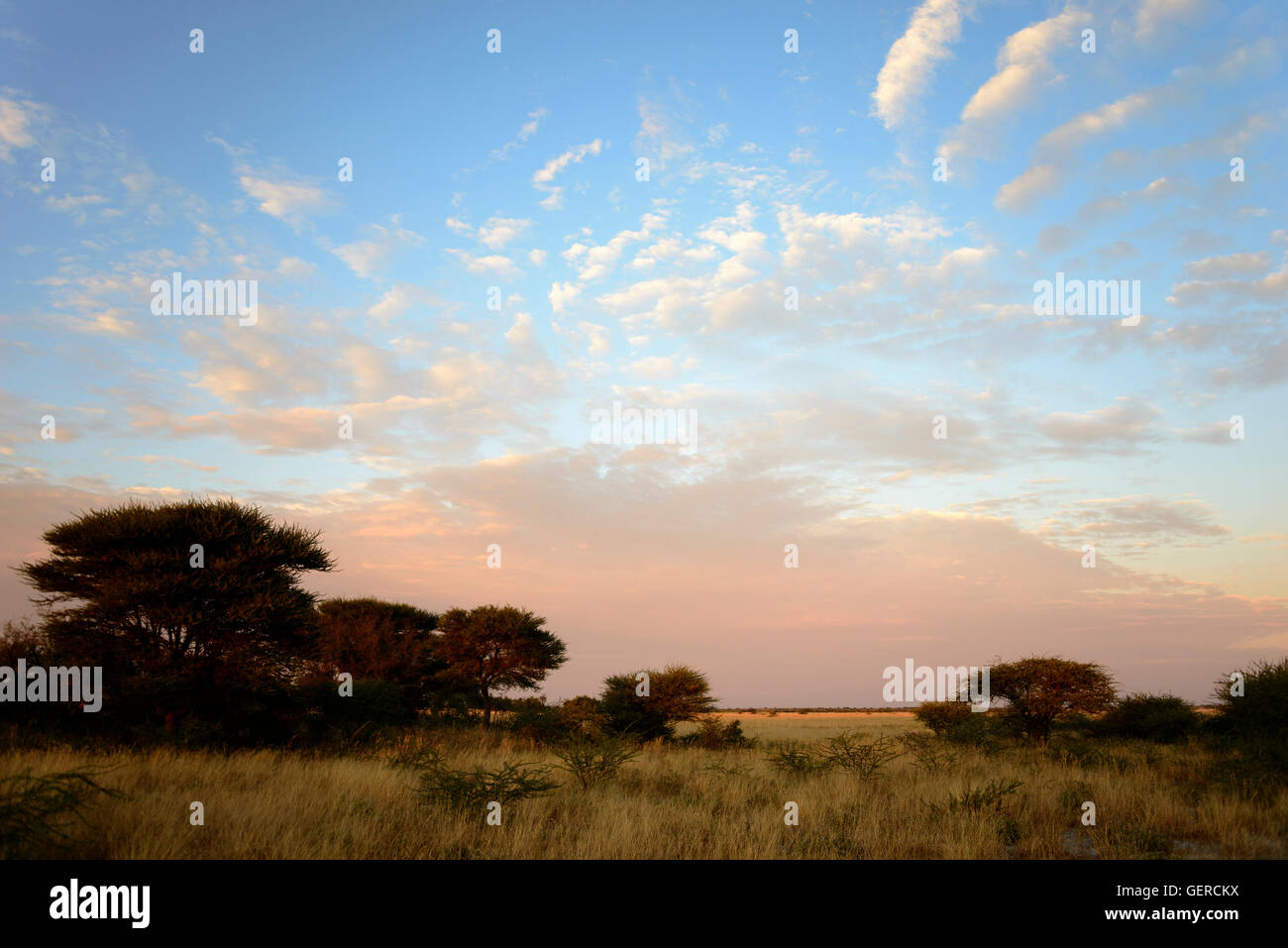 Sunrise, Deception Valley Central Kalahari Game Reserve, Botswana Stockfoto