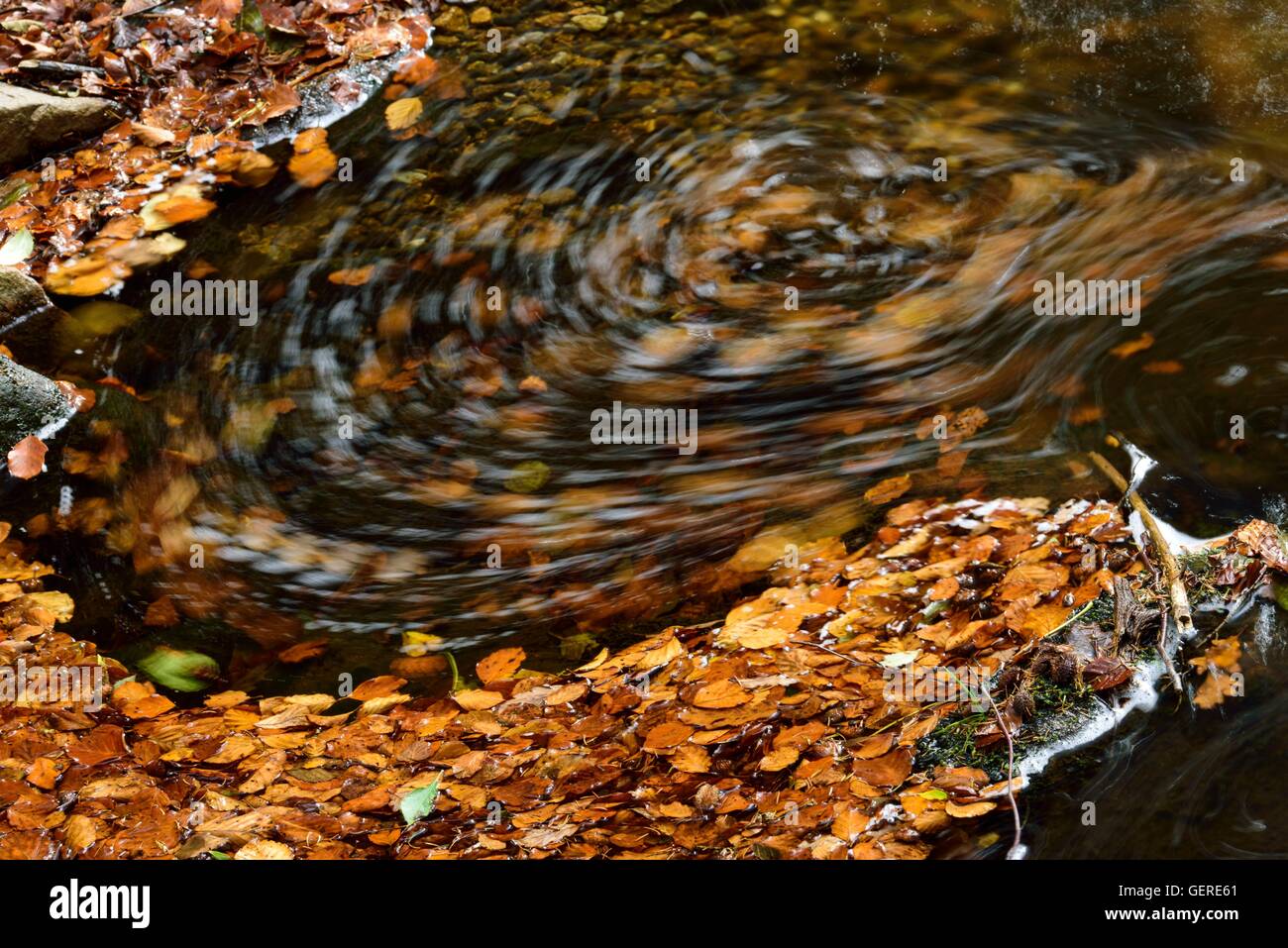 Ilse im harz Fotos und Bildmaterial in hoher Auflösung Alamy
