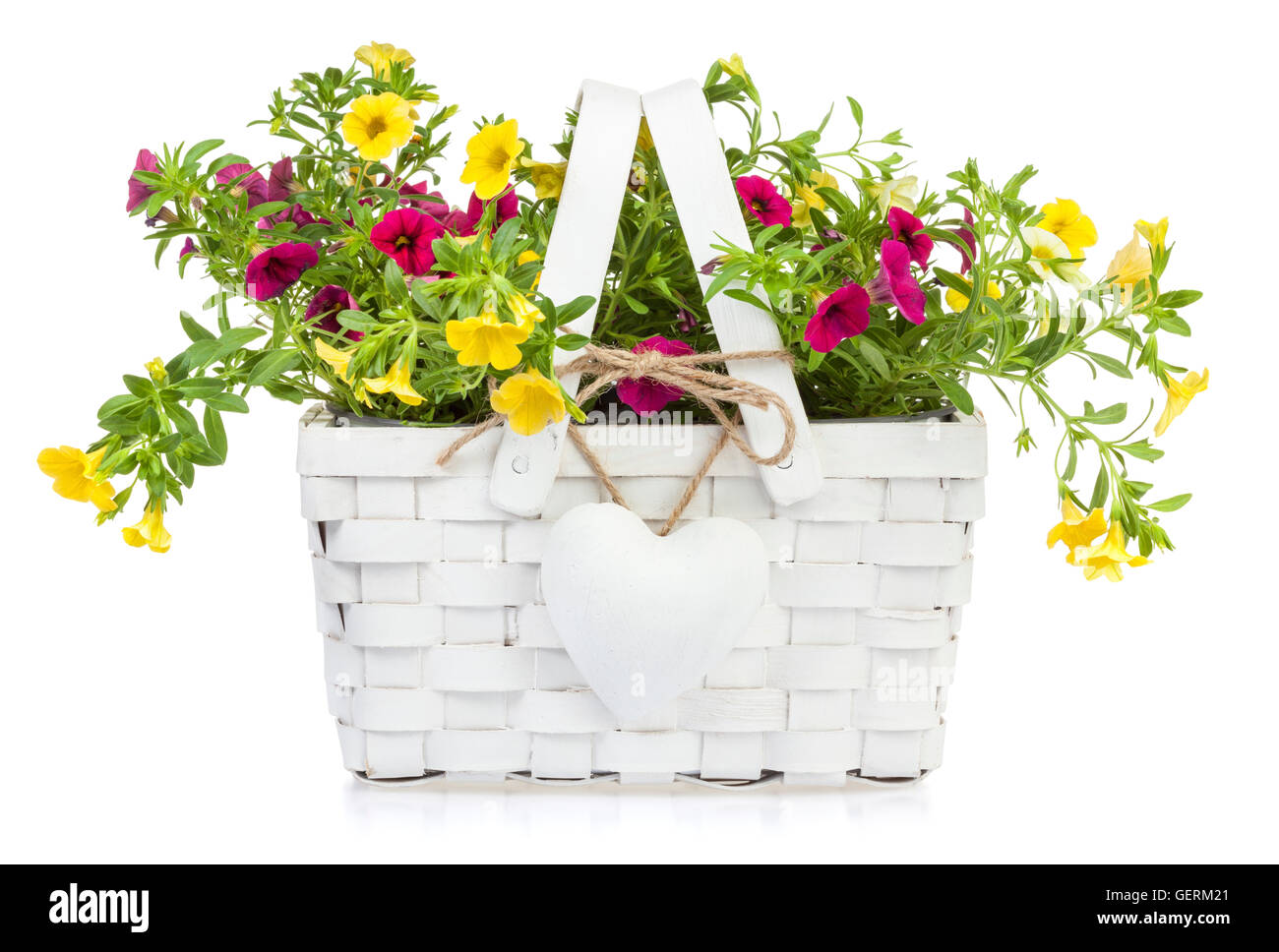 Geschenk-Korb mit herzförmigen Anhänger voller Million Bells Blumen isoliert Stockfoto