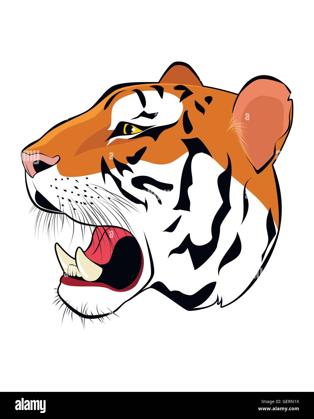 Vektor-Illustration ein Tigerkopf auf weiß Stock Vektor