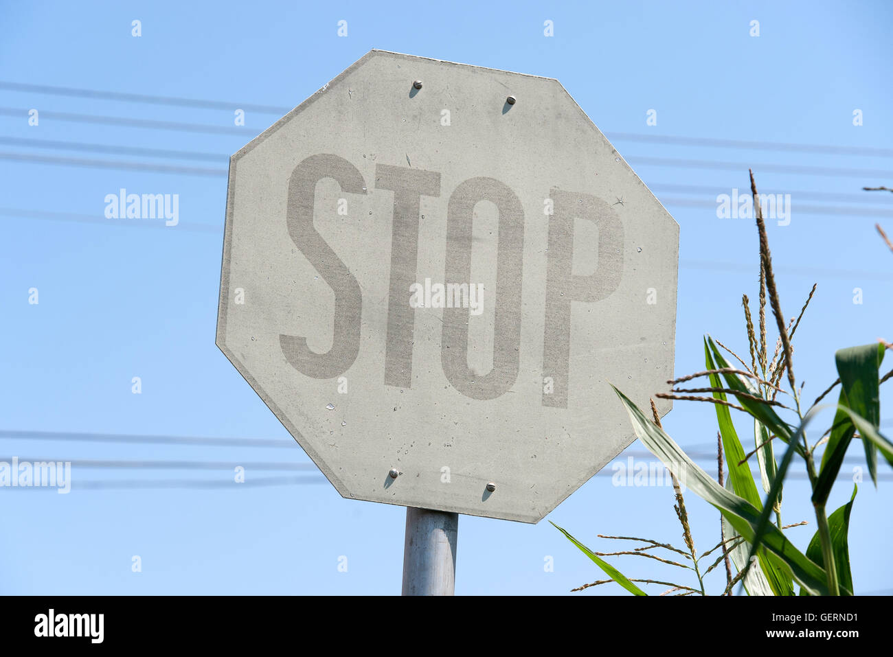 Cered, verblasst Ungarn, Stop-Schild am Rande eines Maisfeldes Stockfoto