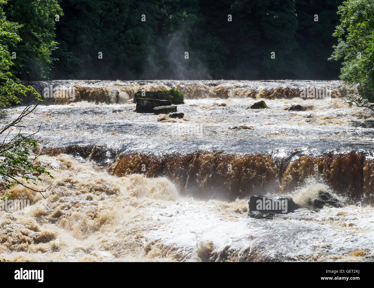 Das schöne obere Aysgarth fällt auf den Fluß Ure in Wensleydale Yorkshire Dales National Park England Vereinigtes Königreich UK Stockfoto