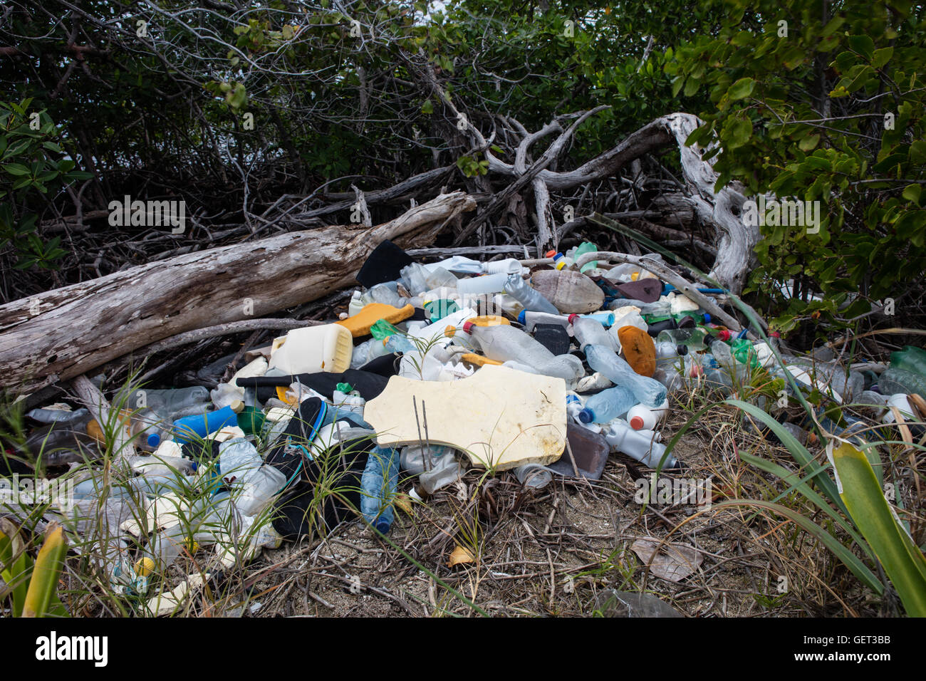 Plastikmüll hat auf einer abgelegenen Insel im karibischen Meer an den Strand gespült. Kunststoff kann schädlich sein einmal in marinen Ökosystemen. Stockfoto