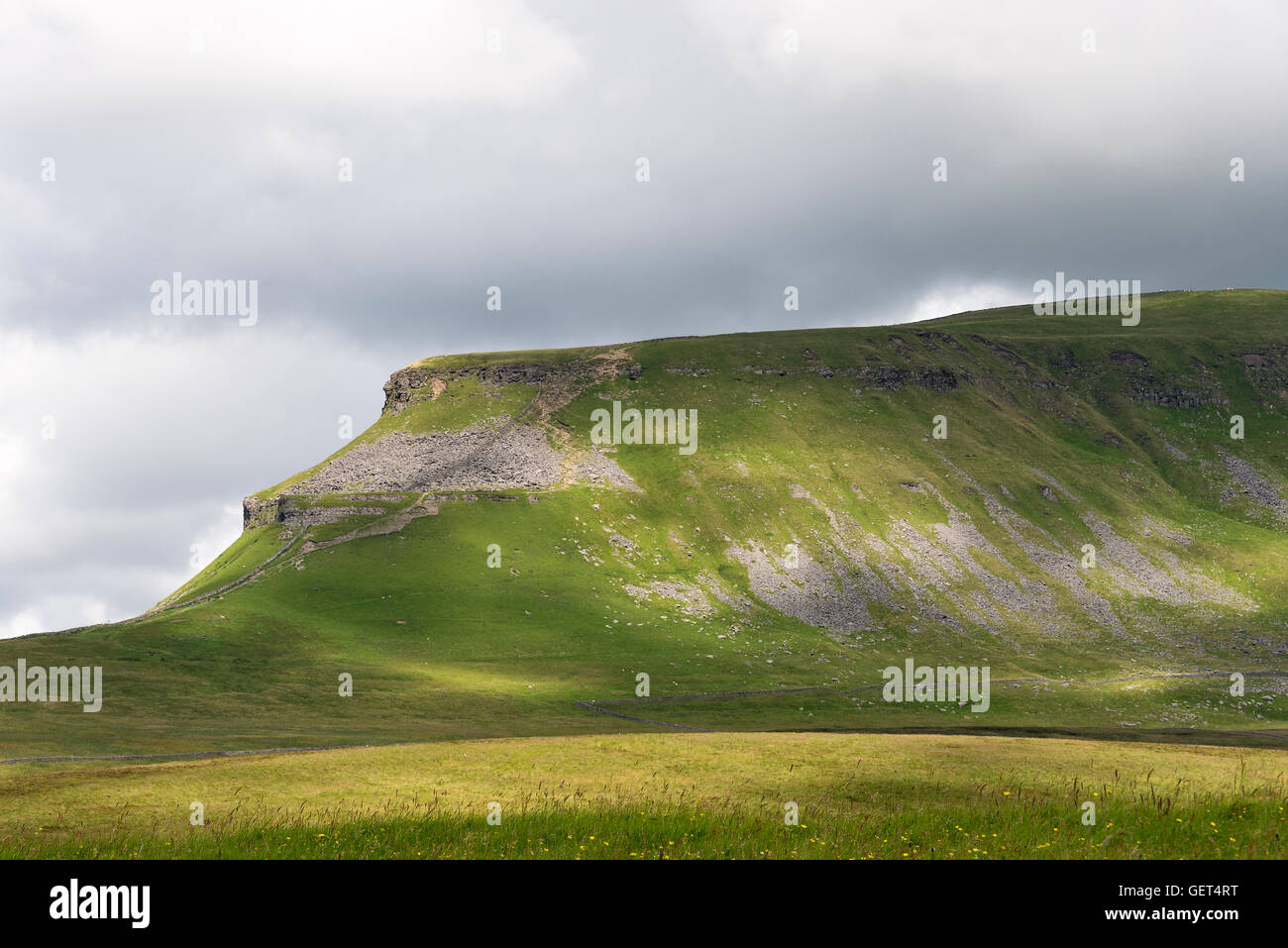 Die schöne Penyghent Hill in den Yorkshire Dales in der Nähe von Horton in Ribblesdale England Vereinigtes Königreich UK Stockfoto