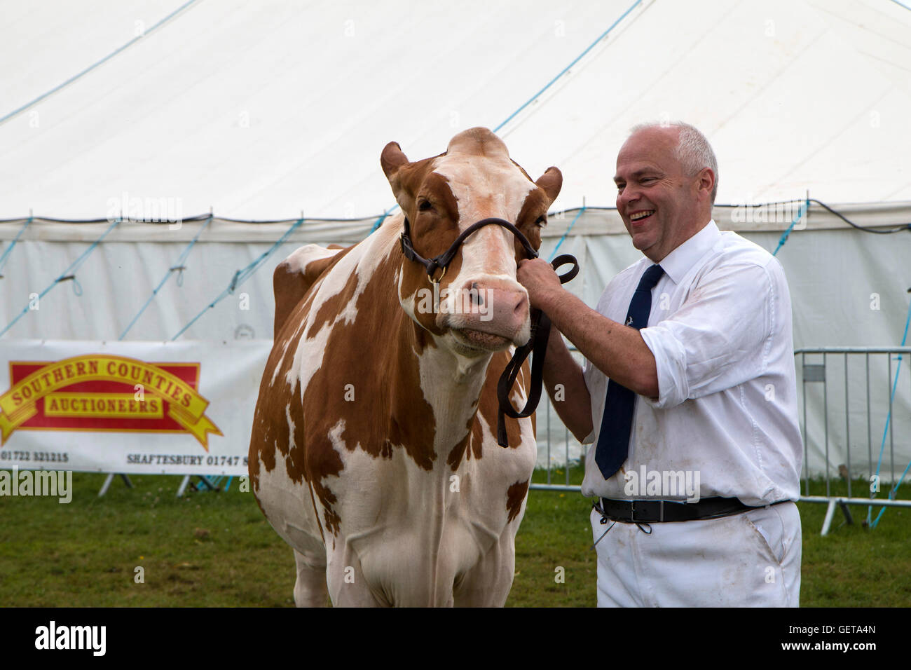 Besitzer mit Stolz zeigen seine preisgekrönten Ayrshire Kuh auf der New Forest-Show am 26. Juli 2016 Stockfoto