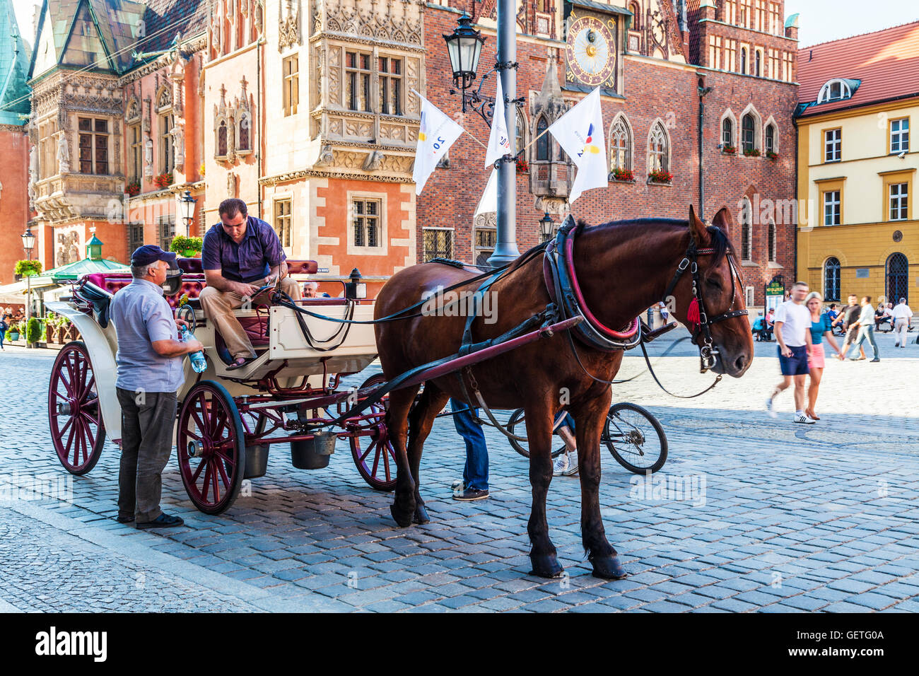 Touristischen Pferd und Kutsche vor dem Rathaus in der Breslauer Altstadt Marktplatz oder Rynek. Stockfoto