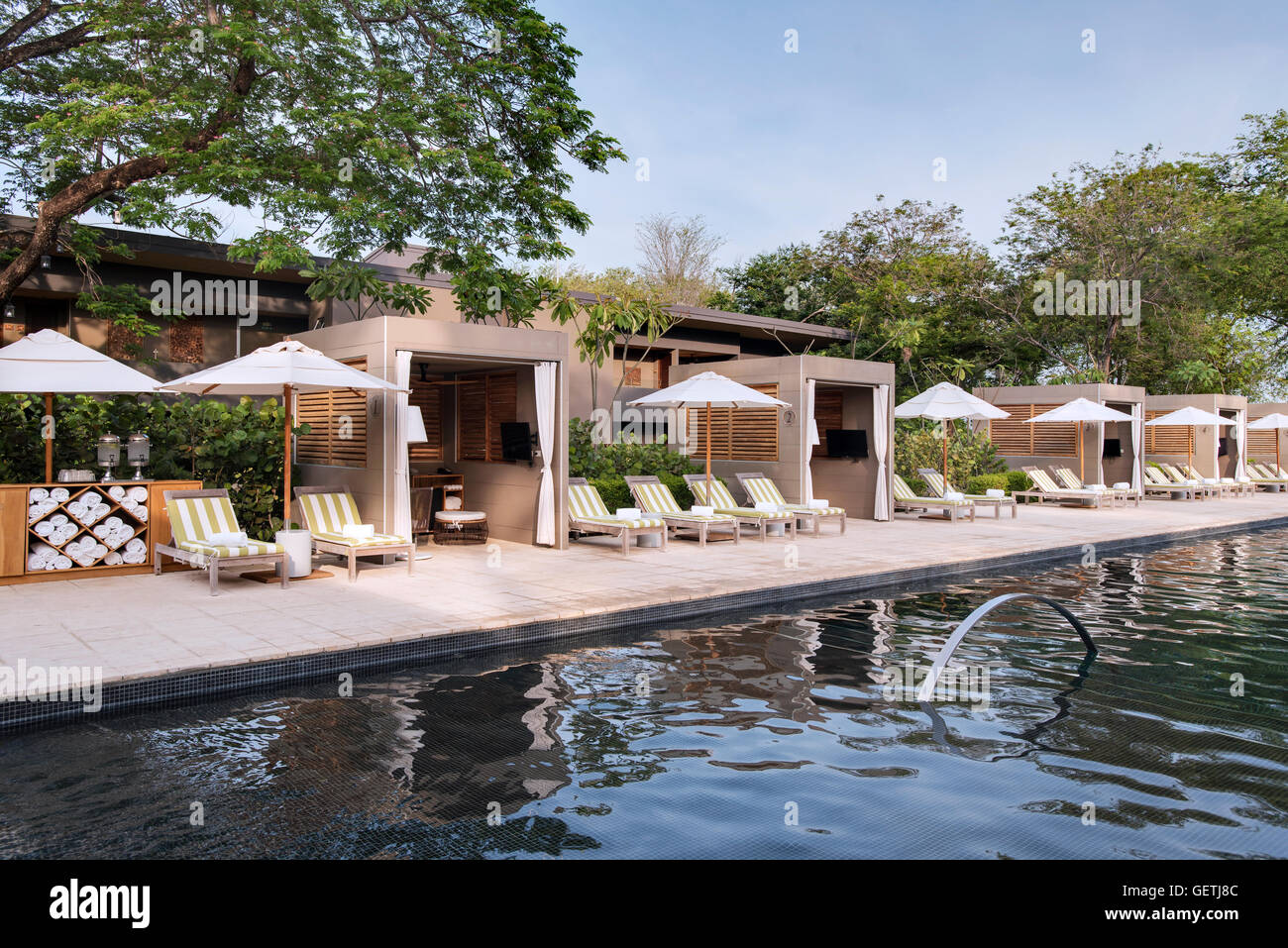 El Mangroove, Costa Rica Stockfoto