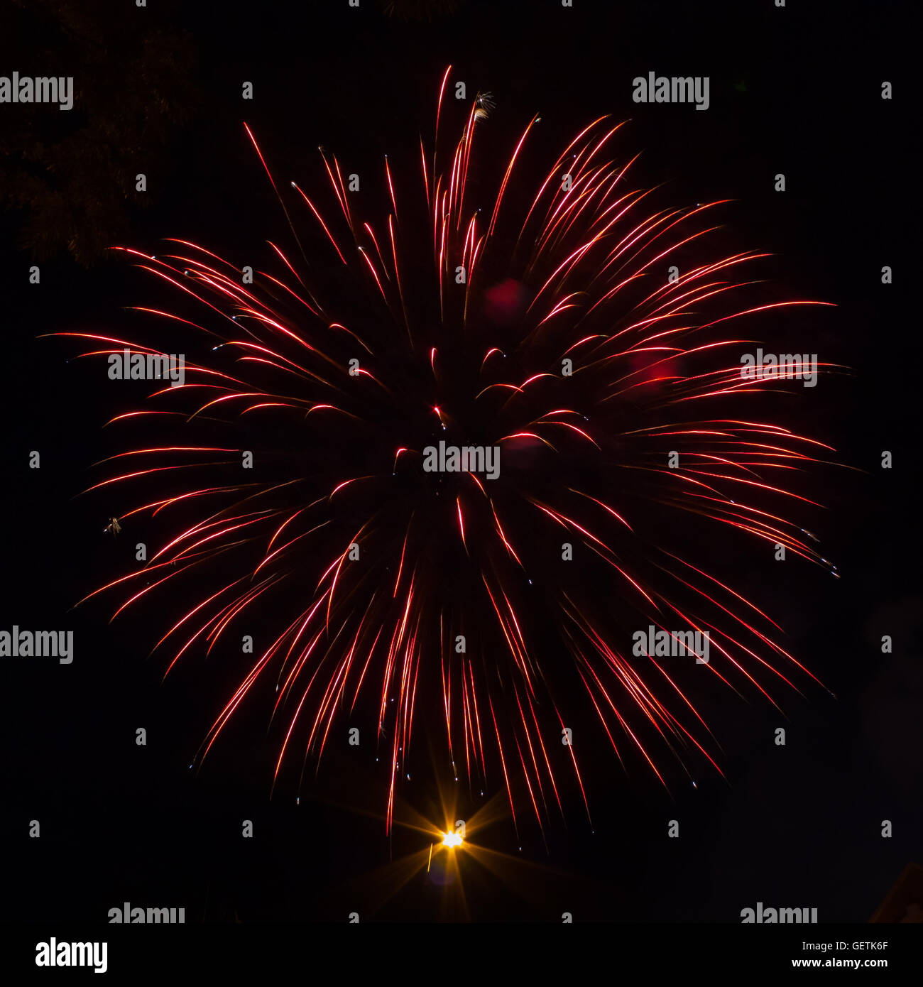 Einzelne isolierte rote Feuerwerk platzen Stockfoto