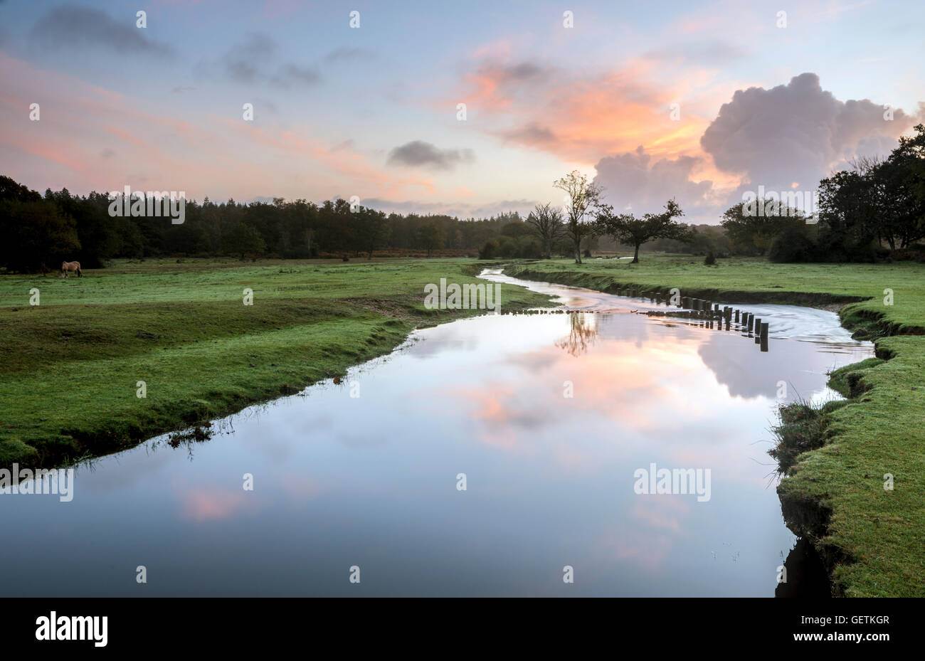 Ein Blick auf Ober Wasser im New Forest. Stockfoto