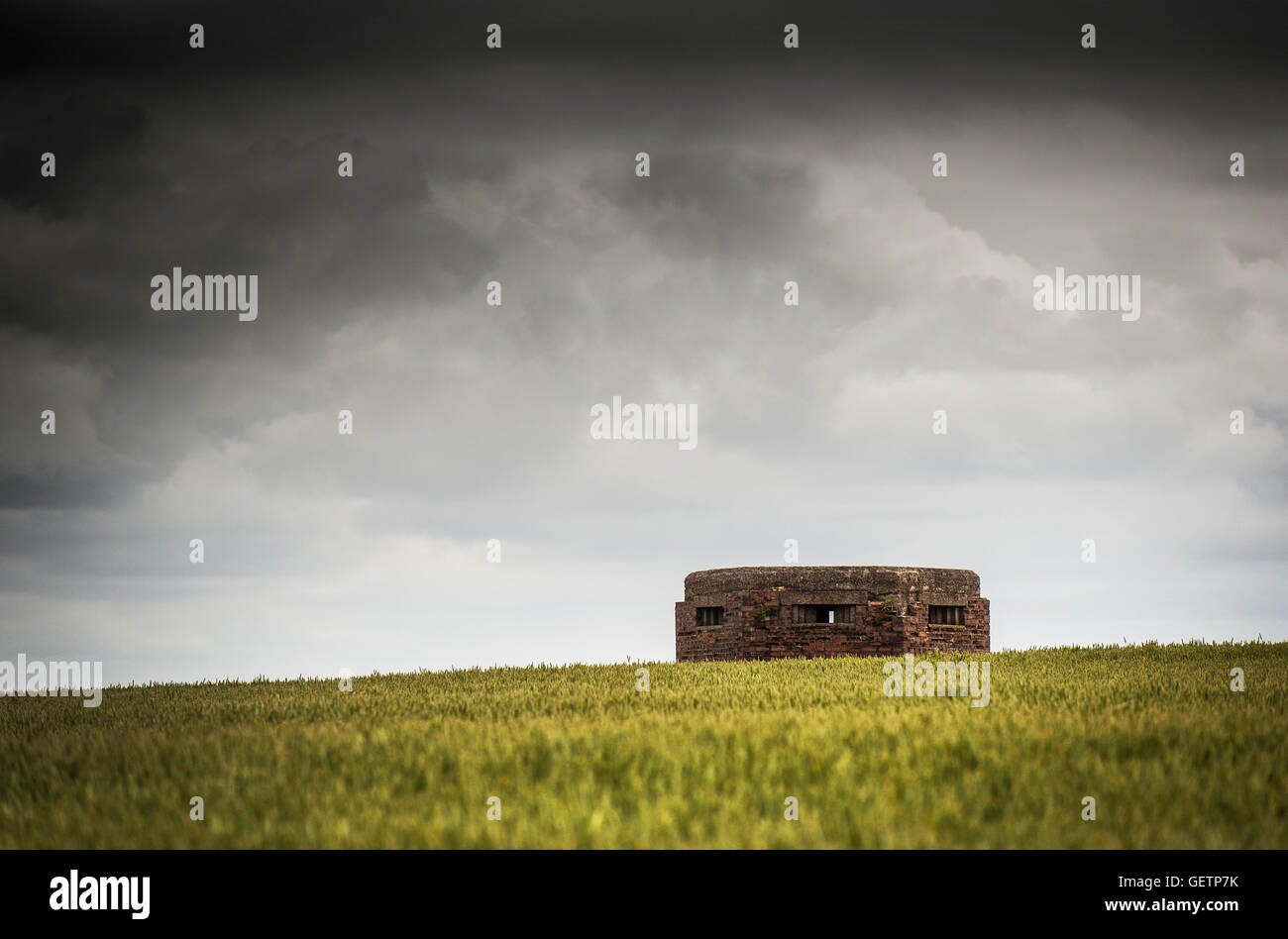 Ein Typ 22 Pillbox in einem Feld in Happisburgh. Stockfoto