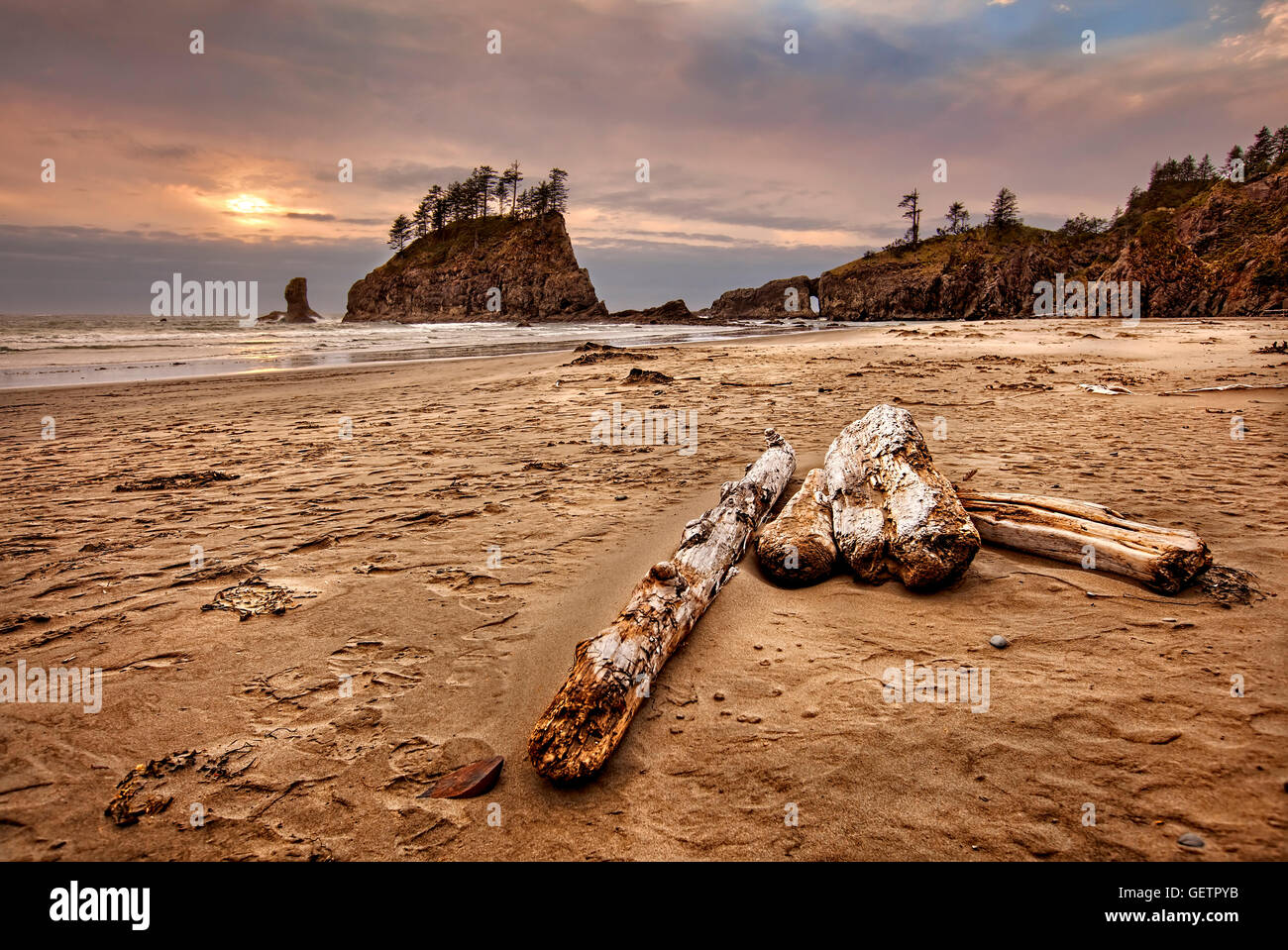 Protokolle liegen auf einem sandigen Strand bei Sonnenuntergang. Stockfoto