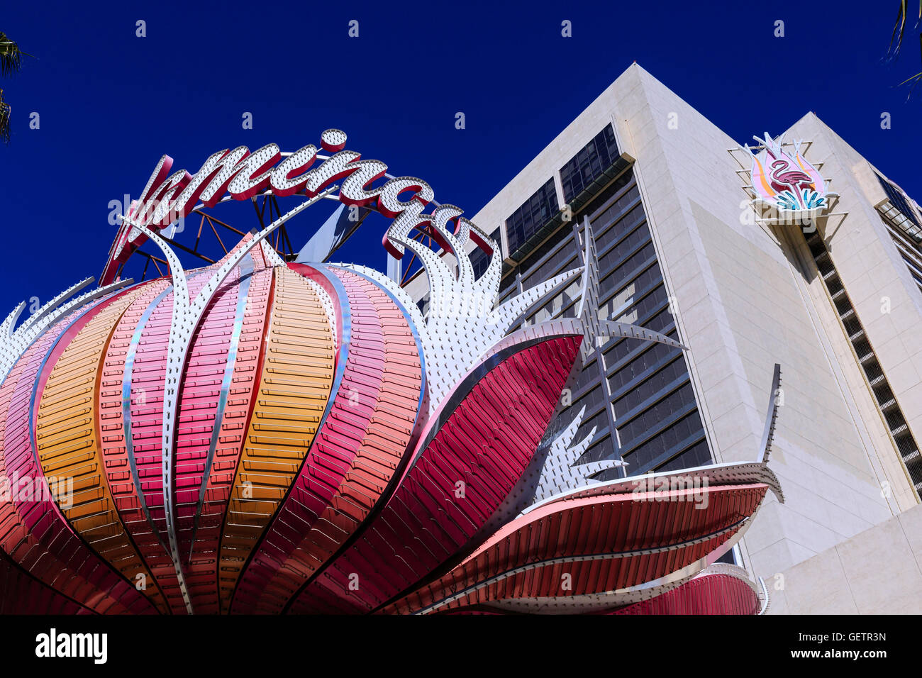 Berühmte Flamingo Lounge Schild und Architektur. Stockfoto