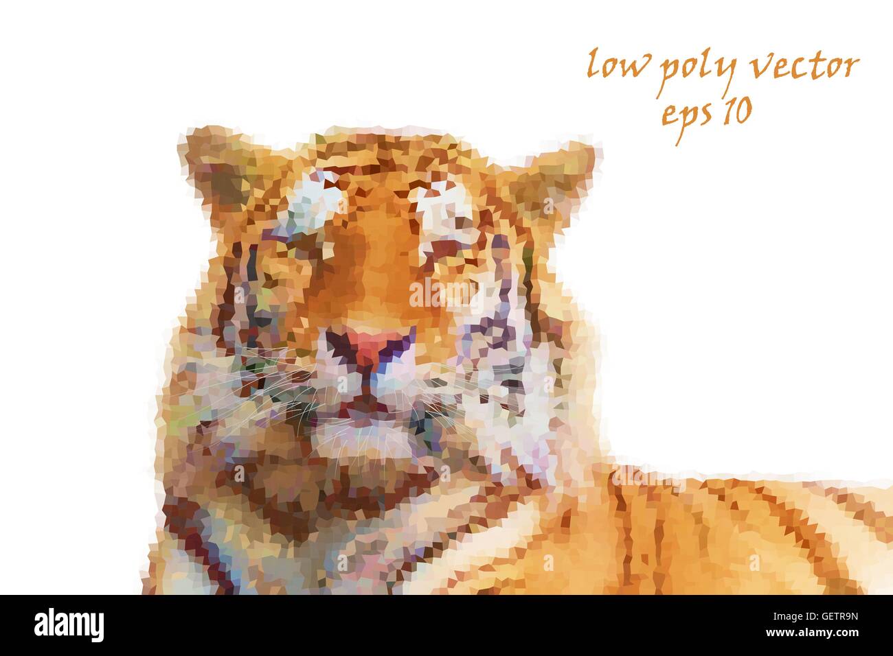 Low-Poly-Vektor-Design, Illustration. Porträt eines Tigers. Stock Vektor