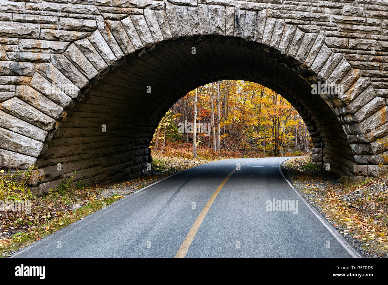 Straße durch den Acadia National Park. Stockfoto