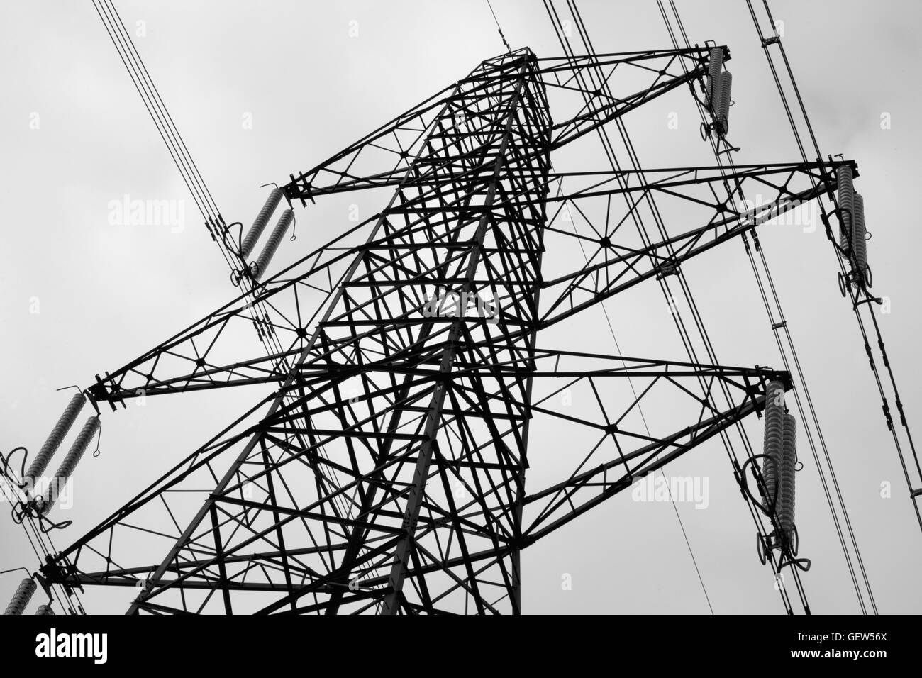 National Grid powerlines erobern das Land in der Nähe von Hambledon, Hampshire, England. Schwarz und Weiss Stockfoto