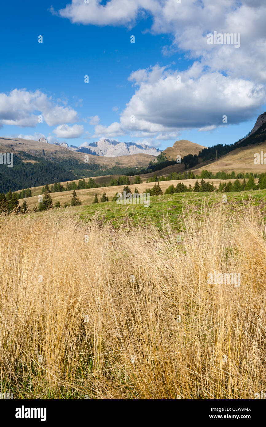 Panorama von italienischen Alpen vom "San Martino di Castrozza". Dolomiten-Blick. Stockfoto