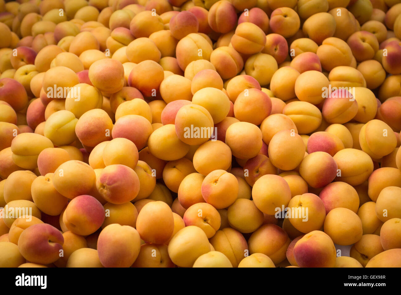 kleine gelbe Pfirsiche - Haufen Obst Markt Hintergrund Stockfoto