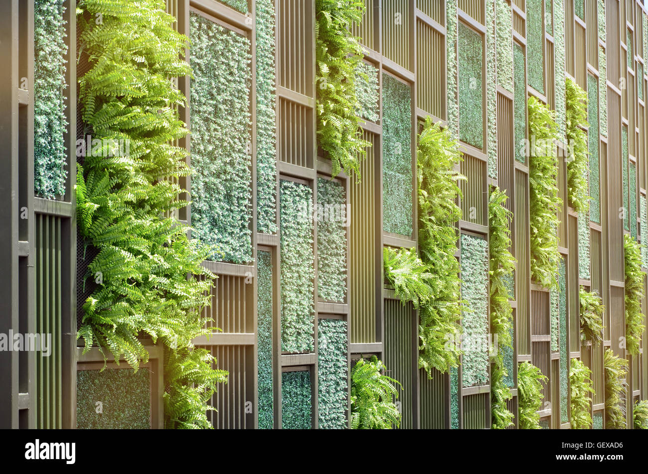 Grüne Wand mit vertikalen Demo Gardenning in warmen, hellen Ton. Stockfoto