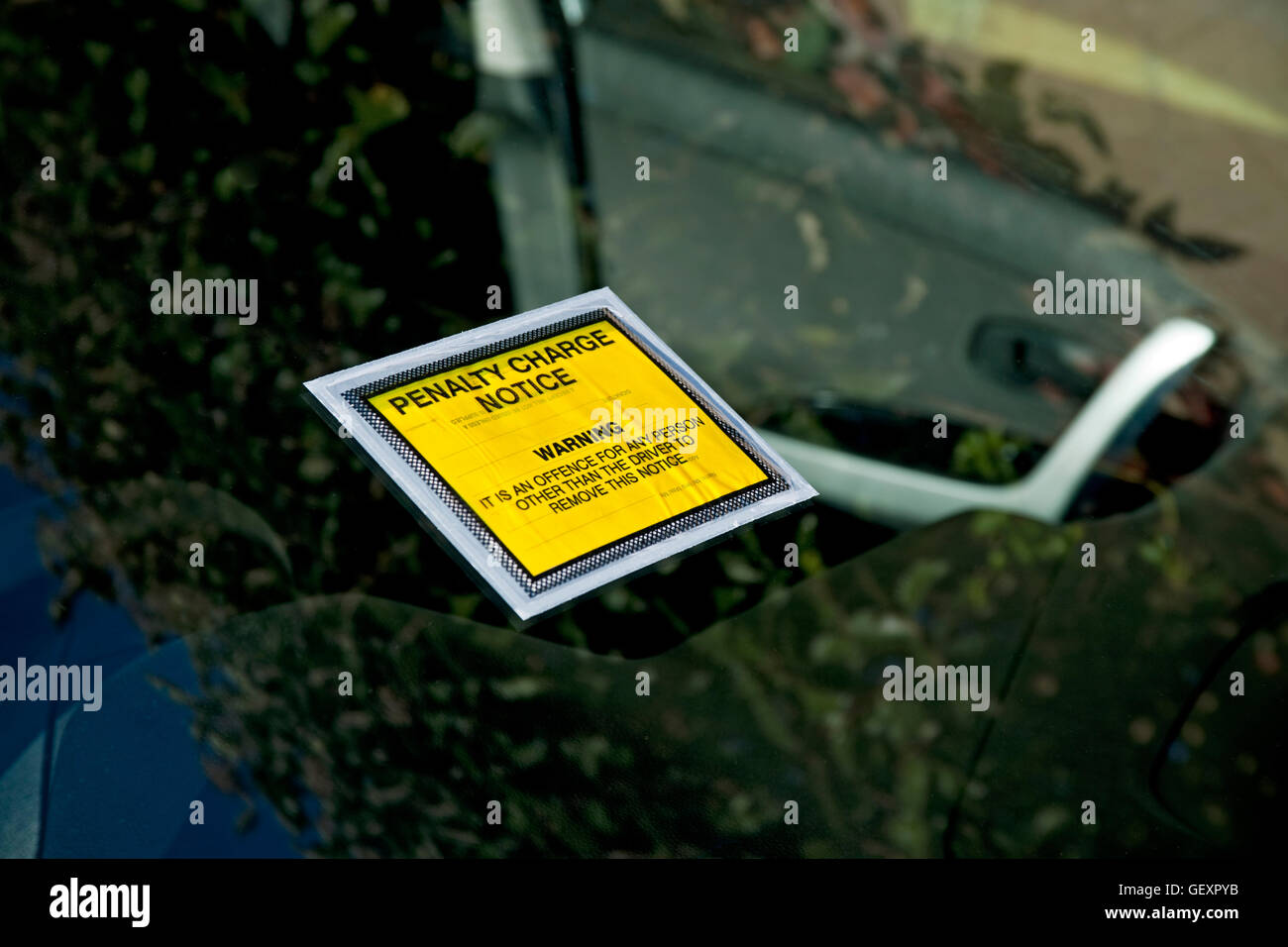 Parkplatz Strafe kostenlos Bekanntmachung über ein Auto. Stockfoto