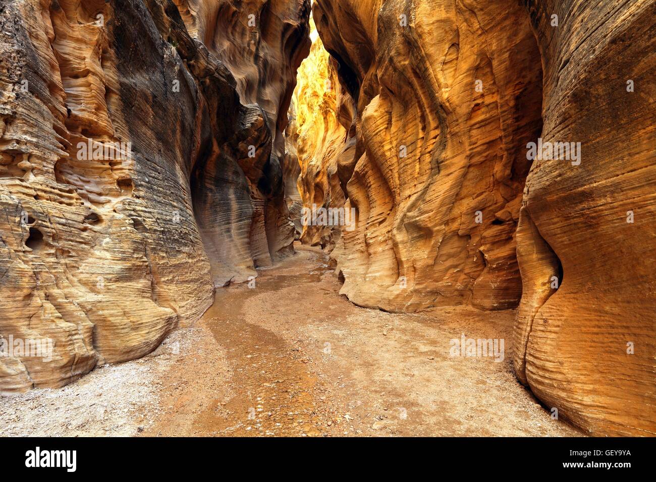 Geographie / Reisen, USA, Utah, Willis Creek, Slot Canyon Grand Staircase Escalante Stockfoto